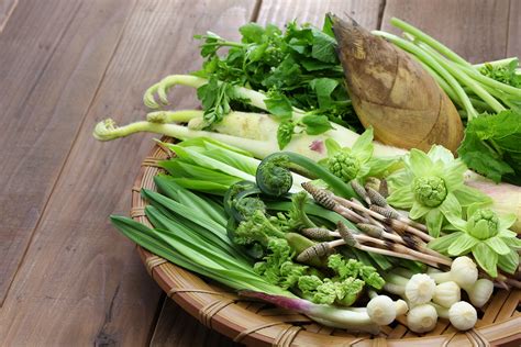 ふきのとうレシピ：春の訪れを感じる山菜料理の魅力